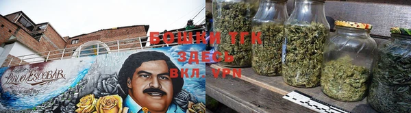 гидра Горно-Алтайск