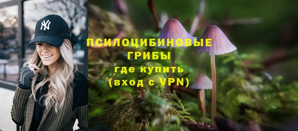 гидра Горно-Алтайск